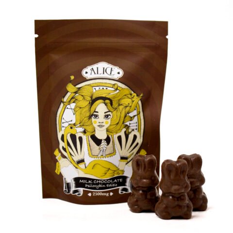 Mushroom Milk Chocolate (2500mg)