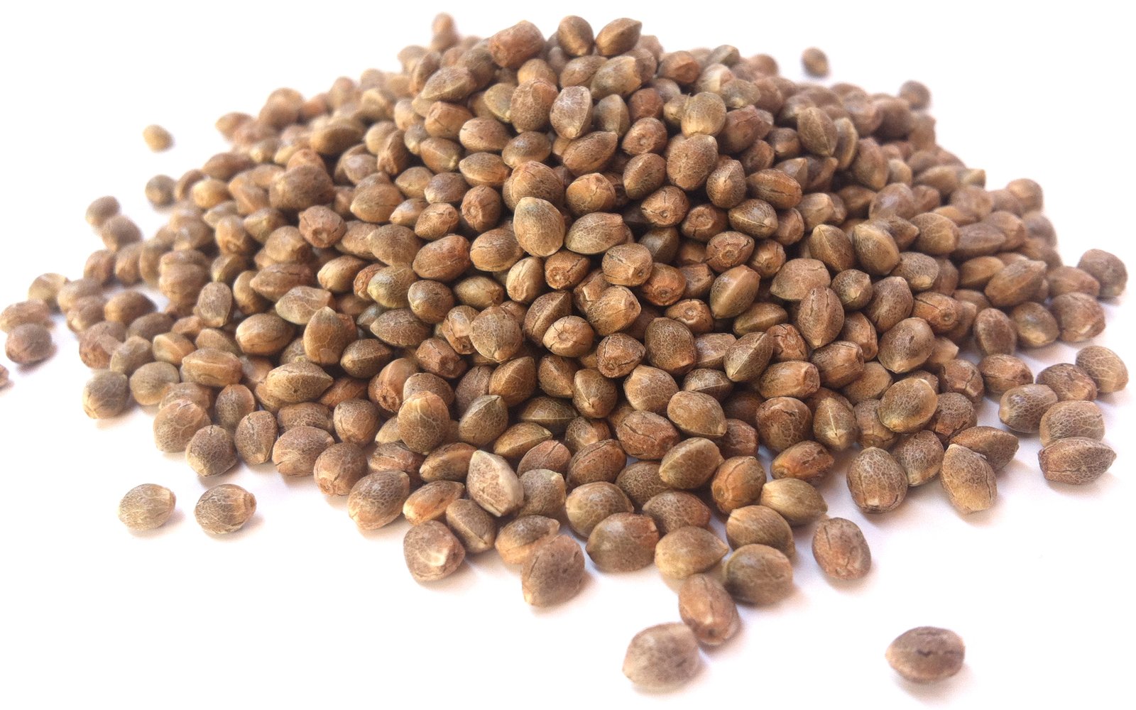 Feminized Cannabis Seeds